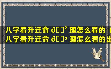 八字看升迁命 🌲 理怎么看的（八字看升迁命 🌺 理怎么看的出来）